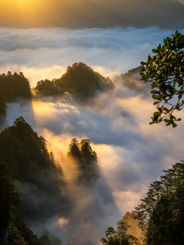 旭日东升自然景观图片