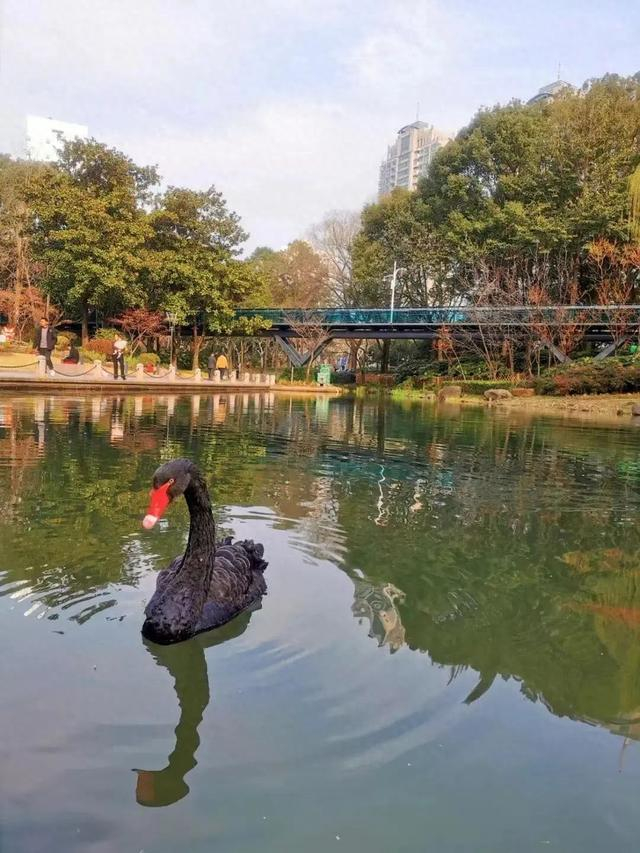 春姑娘的曼妙花裙上新啦t台就在上海徐家汇的公园里