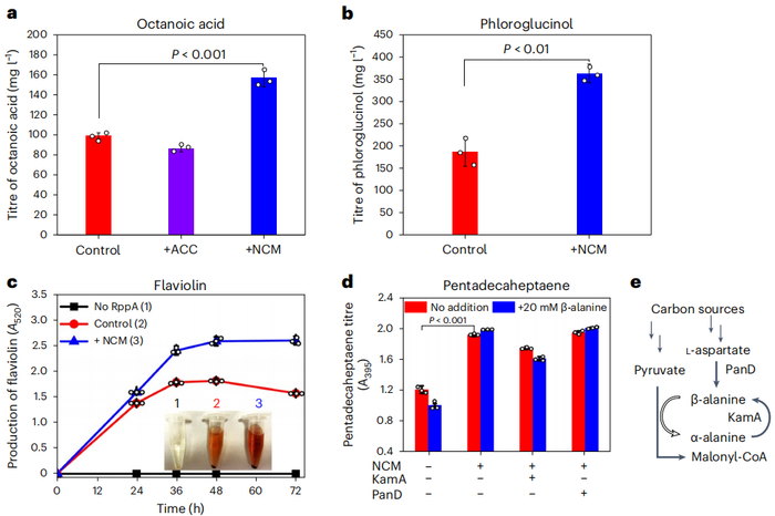 （来源：Nature Catalysis）