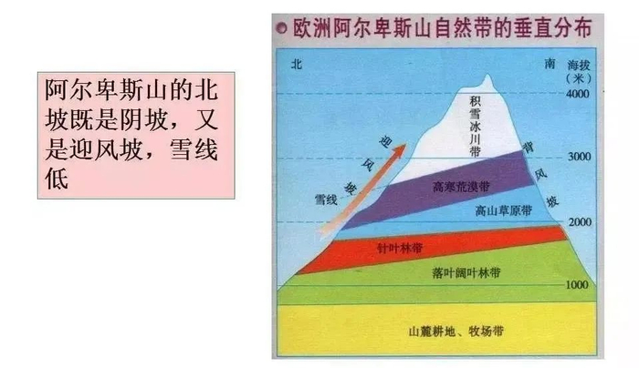 【地理专题】地理视角看林线与雪线,林线倒置(森林下限),你都清楚吗?|气温|山峰|山地|青藏高原|林带_新浪新闻