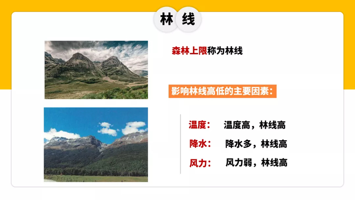 【地理专题】地理视角看林线与雪线,林线倒置(森林下限),你都清楚吗?|气温|山峰|山地|青藏高原|林带_新浪新闻