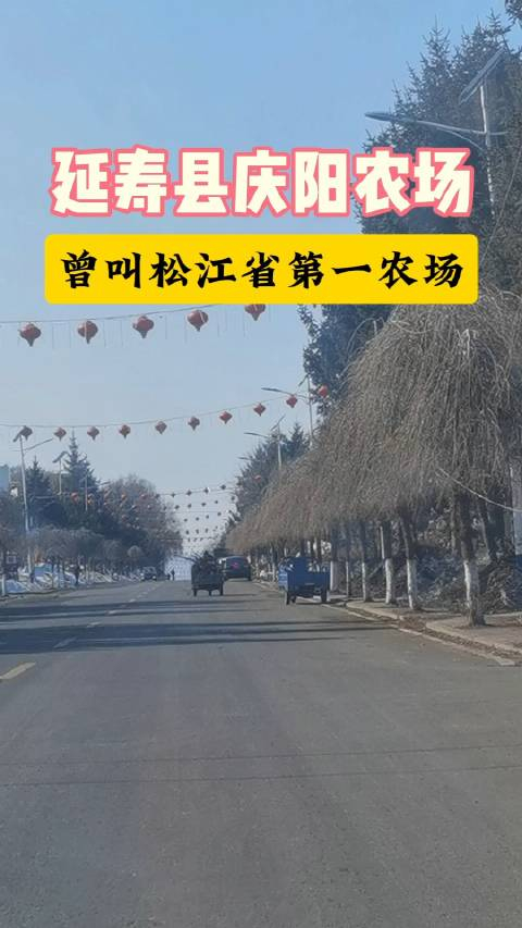 哈尔滨庆阳农场风光无限