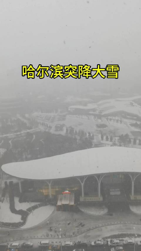 哈尔滨突降大雪会是春天里的最后一场雪吗大雪雨夹雪