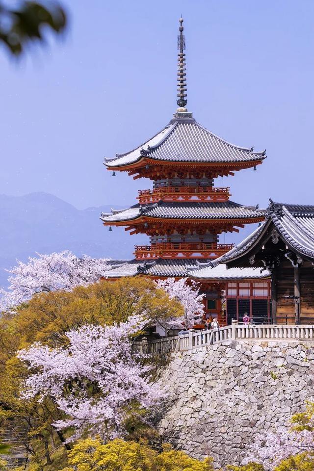 日本七大赏樱圣地,我直接沦陷