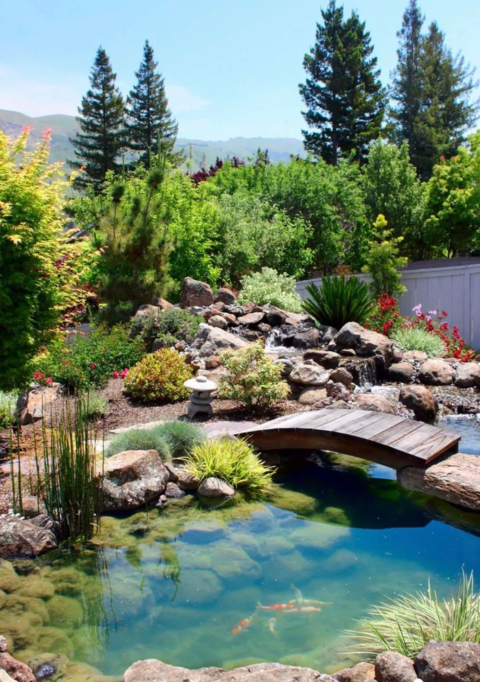 花园鱼池该如何打造?看这一篇就够了|鱼池|水质|清透_新浪新闻