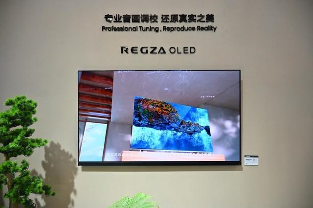 东芝电视携旗舰产品亮相awe日式庭院还原真实之美|东芝|日式|awe_新浪