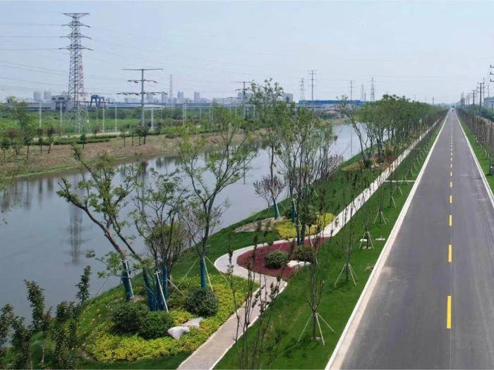 十四五以来江苏已造林绿化7135万亩