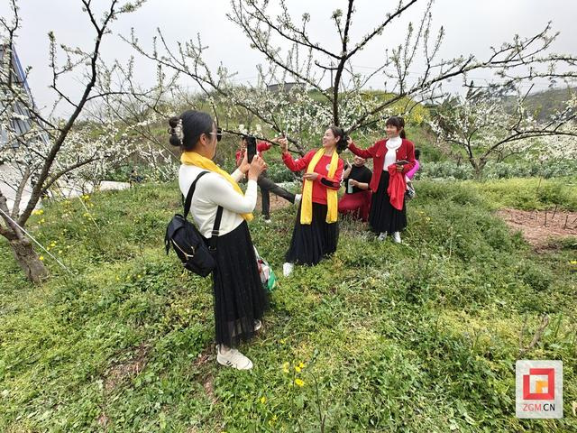 富全镇蒲余村李花绽放村民欢欣鼓舞共绘兴村富民新画卷