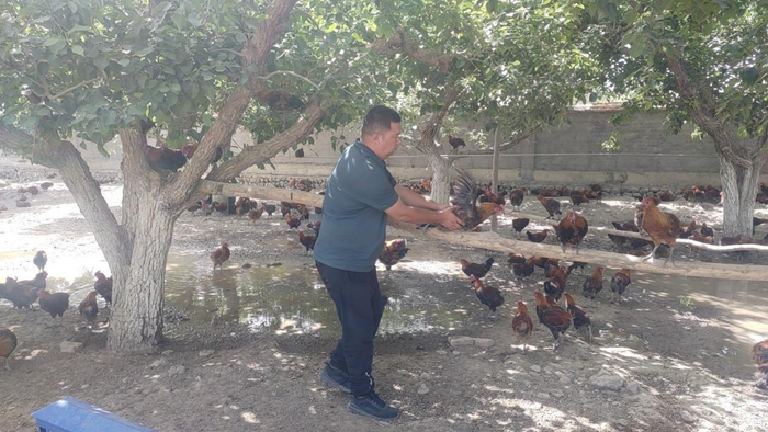 11份建议透出新疆农牧民求发展的美好心愿全国人大代表艾克热木和他