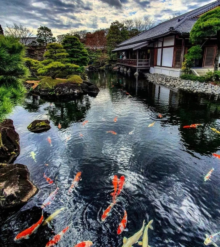 形状传统住宅庭院的水池多数设计成圆形的形状,常见的有半圆形,猪腰形