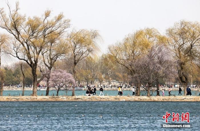 北京迎来大风沙尘天气