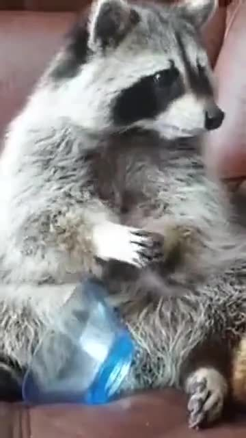 最后搓手那两下就很有灵性了