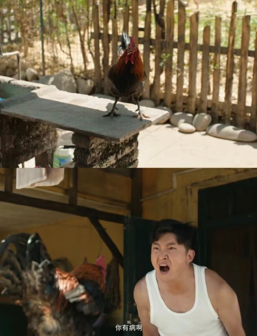 笑死我了 网友辣评:郭京飞拍戏一定很解压吧,每部戏都在疯狂发泄情绪