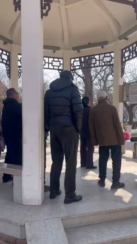 网友拍的天津睦南公园里大爷大妈合唱团