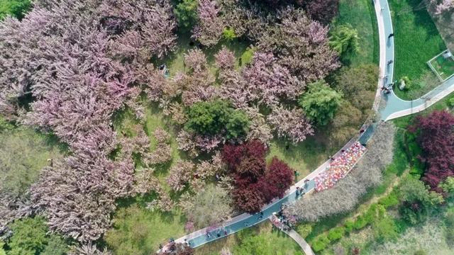 接下来石家庄将全是6464646464