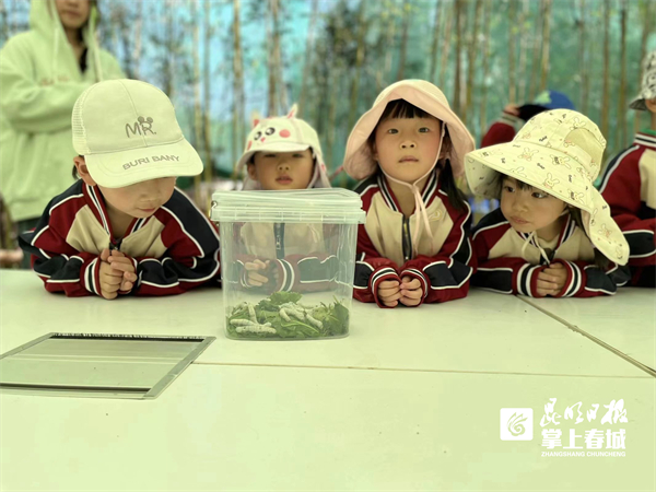 五华一幼教育集团把生物多样性研学课搬进大自然