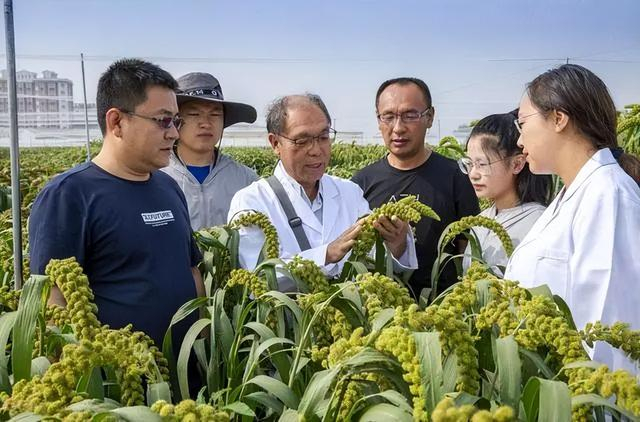 这位河北人亮相央视开讲啦他讲述了关于种子的故事