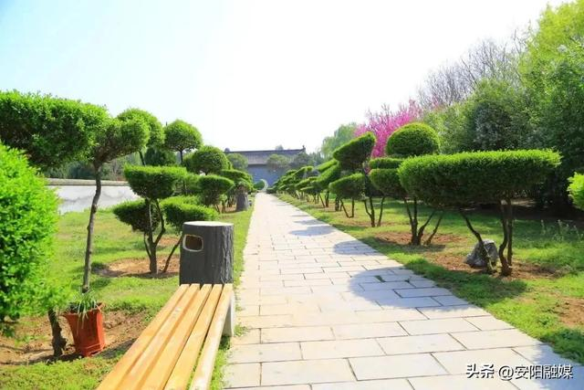 怎么也飞不出花花的世界|安阳市_新浪新闻