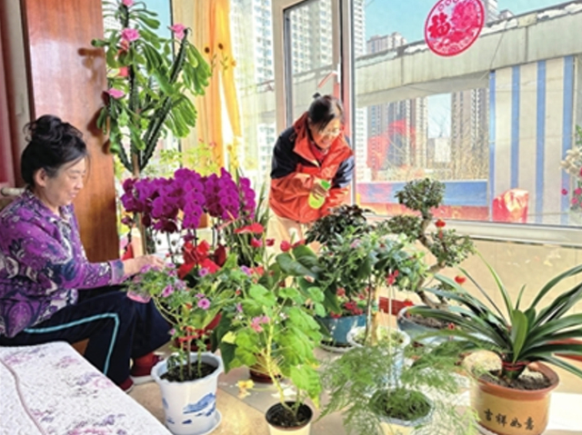 寄情阳台邂逅花开方寸之间也有满满春色