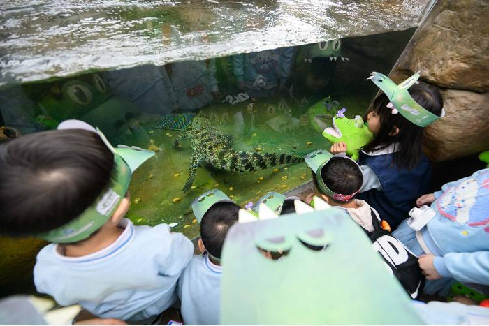 香港海洋公园全新动物大使鳄鱼"百香果"正式亮相|鳄鱼|香港_新浪新闻