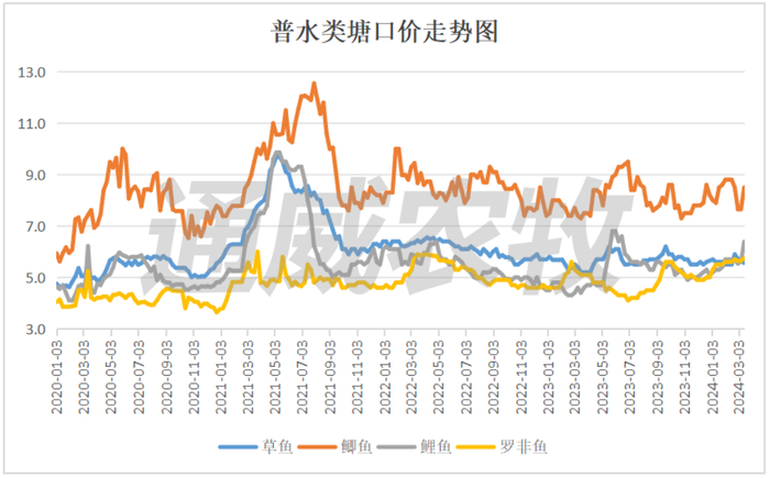 华南地区:本周草鱼价格基本持平,目前投苗较少,存塘偏多,预计3月底,4