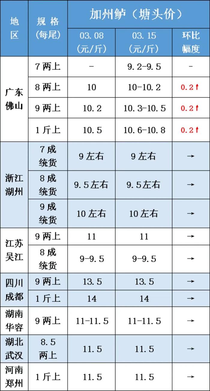 巴西鲷市场价图片