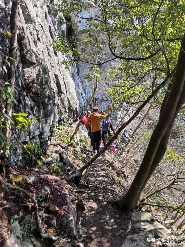 飛鷹道位於台州黃岩西郊的頭陀鎮西北部的山屯村境內,北與臨海接壤,在