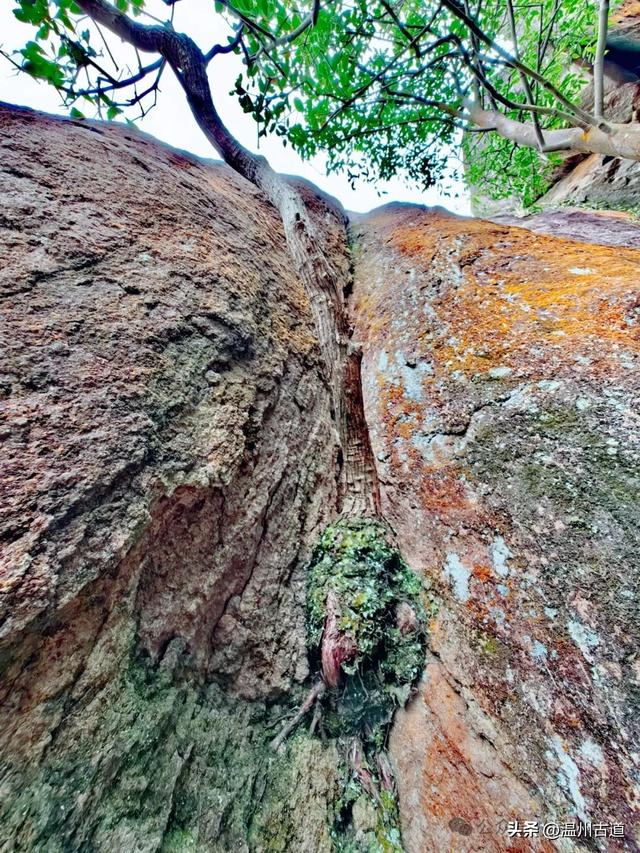 瀑布|温州市_新浪新闻