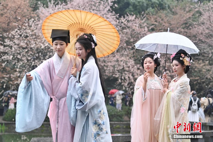 长沙公园举办古装樱花游园会