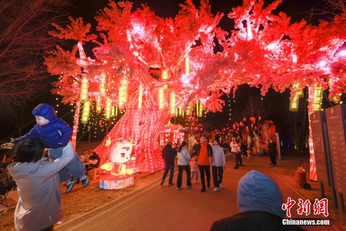 北京市民周末赏花灯|北京市_新浪新闻