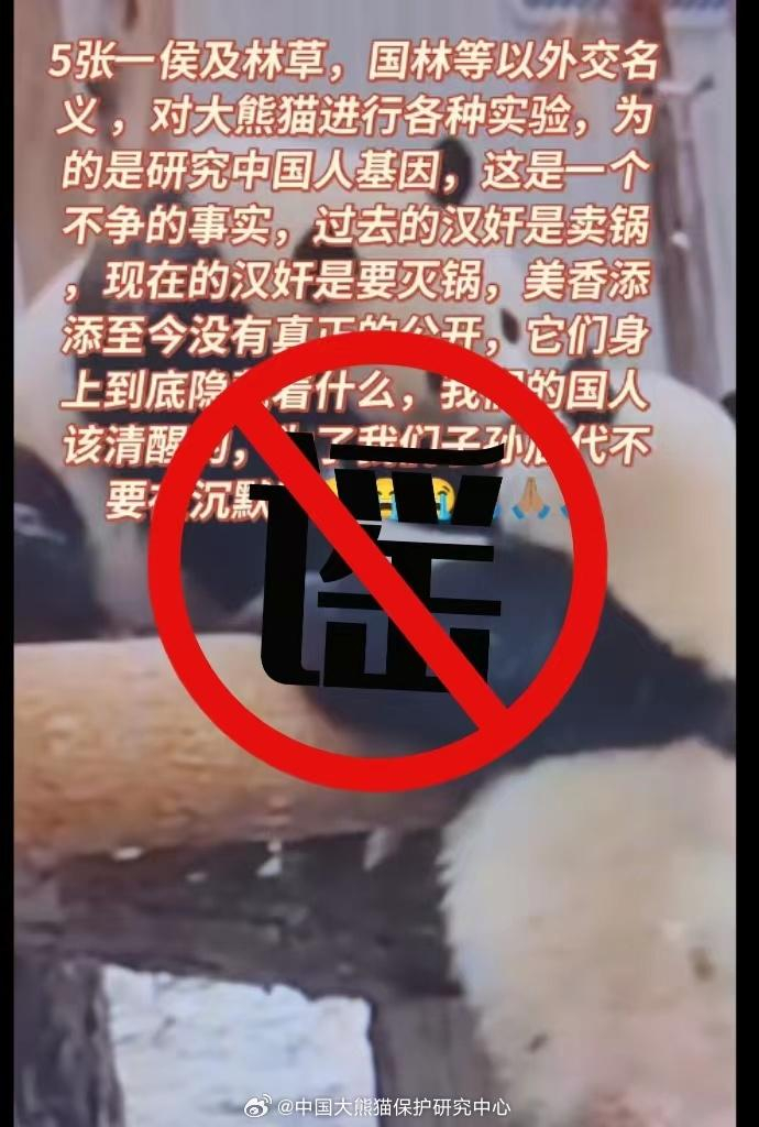 熊猫中心故意残害美香添添发假视频官方举报造谣者