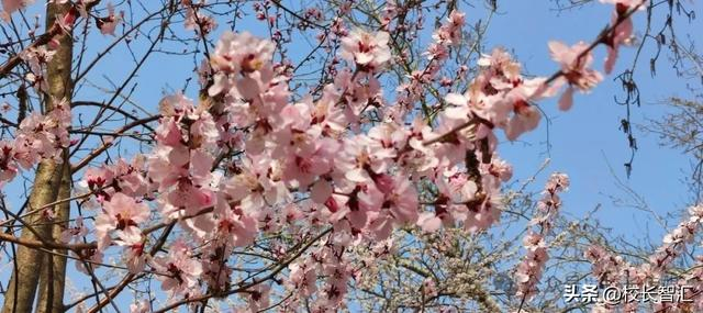 赵晓萌:方向守正方法创新 挖掘潜能激发活力|学生|赵晓