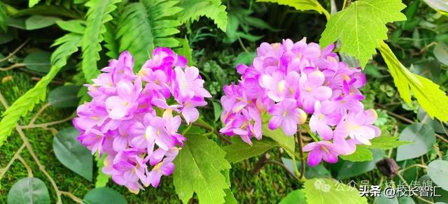 2021年获延津县"献礼建党100周年"征文读后感一等奖;2022年获延津县王