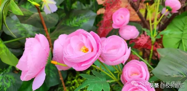 赵晓萌:方向守正方法创新 挖掘潜能激发活力|学生|赵晓