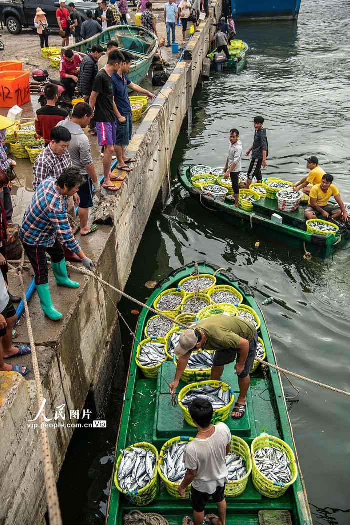 海南琼海:春光明媚耕海忙|海南省|渔民|琼海市_新浪