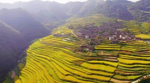 凉伞镇生态振兴引领乡村振兴创新方案激发乡村活力