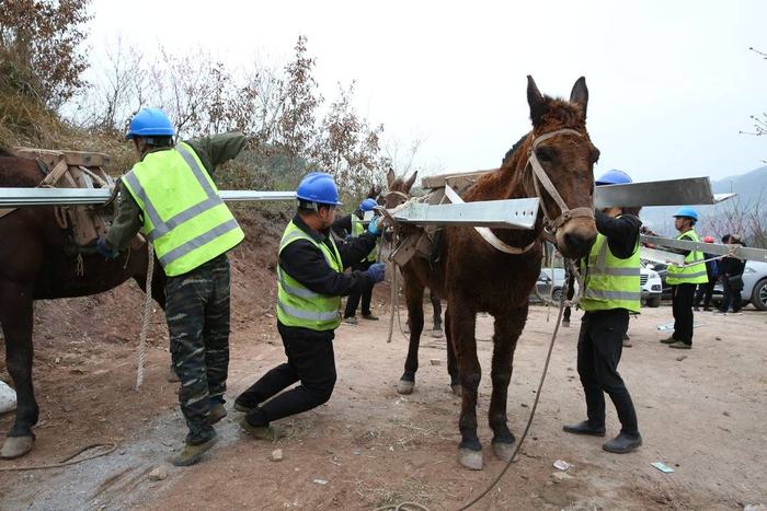 春暖花开马帮来电力马帮助力高铁站线路迁改工程