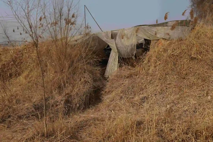 曾埋着王子耀遗体的废弃蔬菜大棚。  新京报记者 李英强 摄