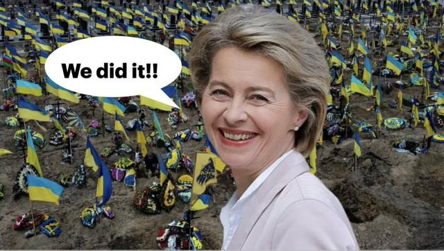 绰号欧盟"女王"的冯德莱恩,想踹开连任的大门,但有