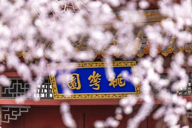 春风十里桃花笑第33届天津运河桃花节开幕