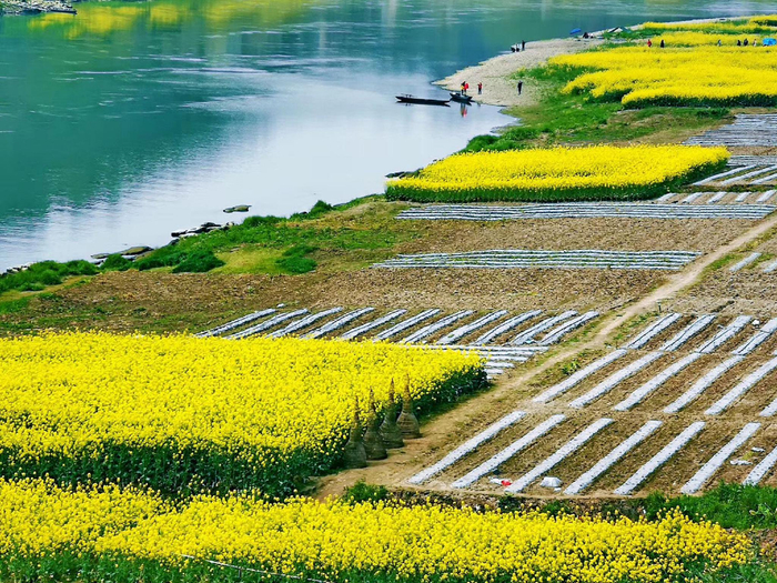 平羌小三峡春色美|乐山市|眉山市|四川省_新浪新闻