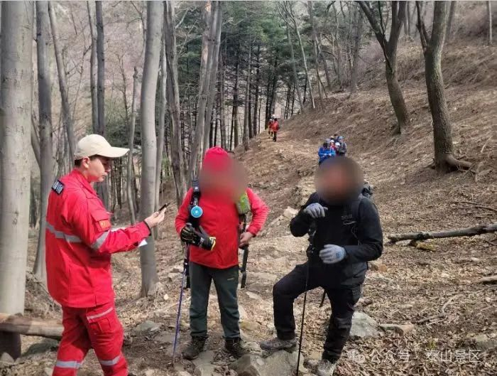 不走寻常路 这些泰山游客违规穿越林区被查处|森林