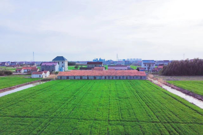 江苏启东东海镇今年计划建设高标准农田16万亩让更多粮田变良田