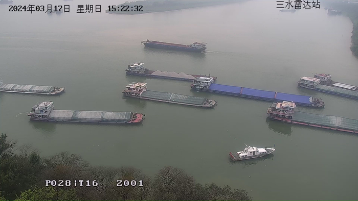 浓雾锁江，佛山海事保障近500艘船舶安全锚泊、有序复航|佛山市|三水|交通管制|交通安全|解封_新浪新闻