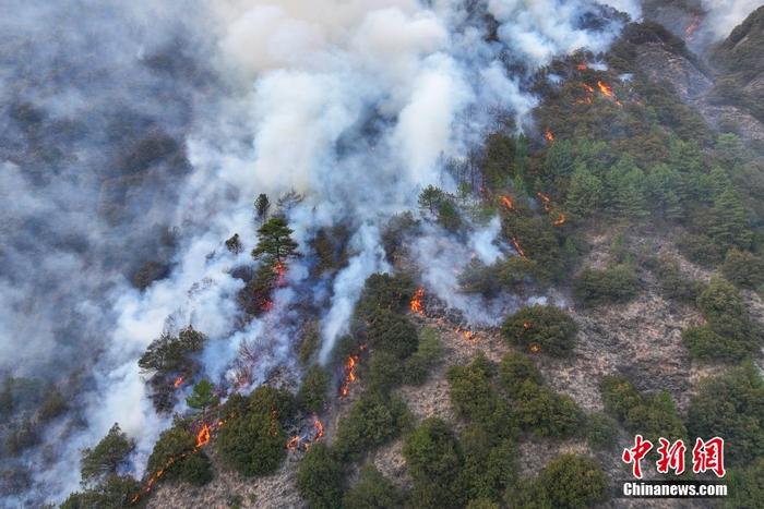 当日,四川省雅江县发生的森林大火扑救工作正在全力进行,1259人和8架