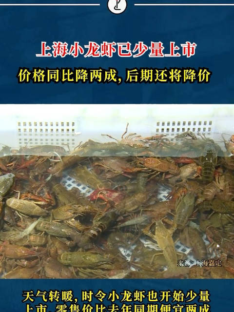 小龙虾上市价格同比降两成