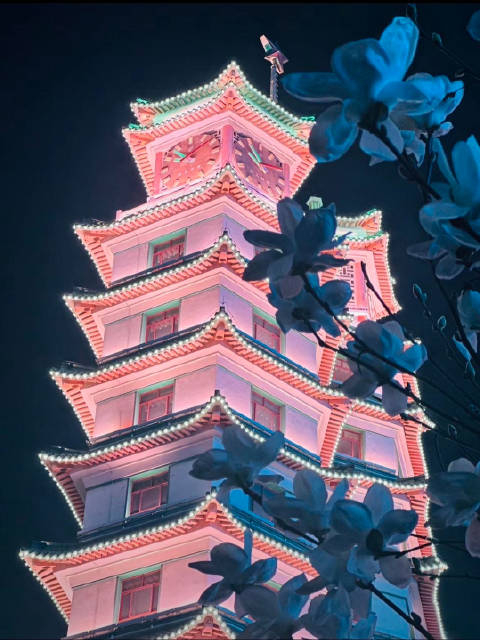 来自郑州春天的浪漫!当粉色二七塔邂逅玉兰花