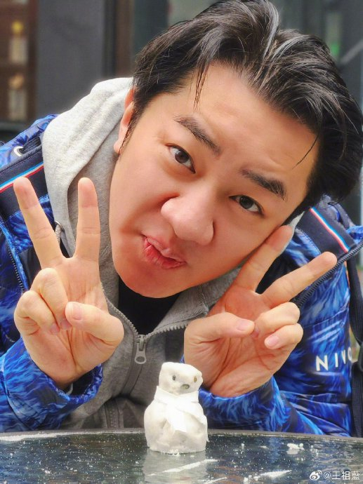 王祖蓝解释不再做喜剧原因|王祖蓝|喜剧|马丽_新浪新闻