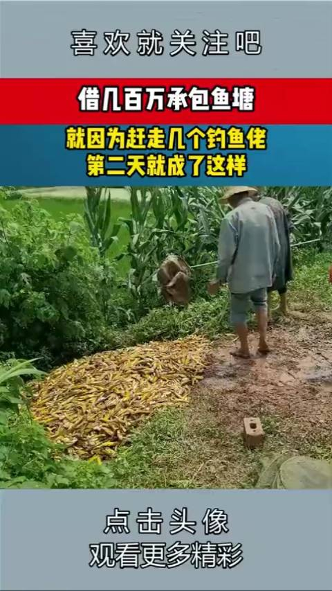 借几百万承包鱼塘就因为赶走几个钓鱼佬第二天就成了这样