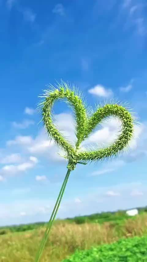 生日快乐幸福满满